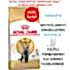 Royal Canin British Shorthair Kedi Maması 1 Kg AÇIK