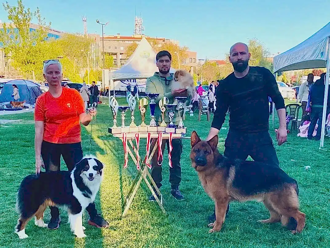 2024 Yılı Ankara Yarışması