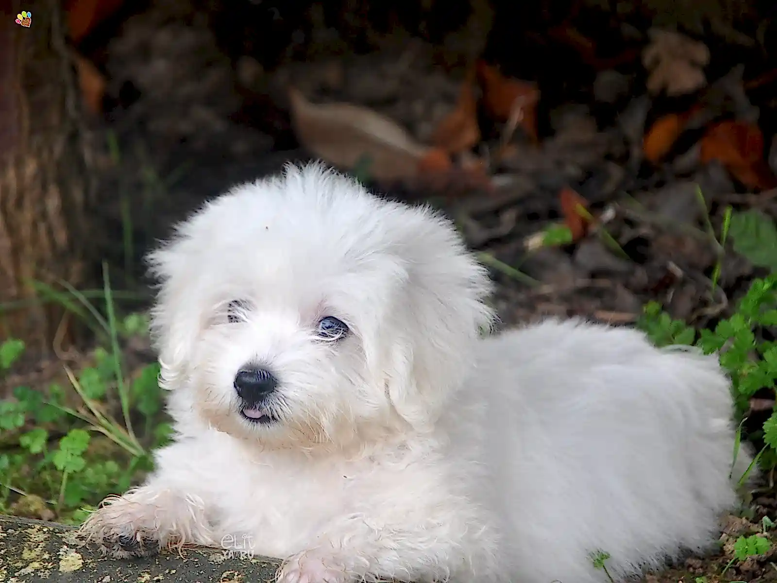 Oyuncu karakteriyle çocuklarla çok iyi anlaşan Misty