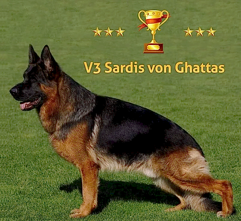 2024 yılında V3 derecesi alan Sardis Von Ghattas bebeklerine kavuşuyoruz