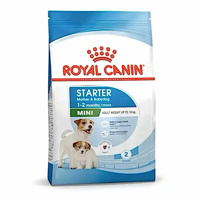 Royal Canin Köpek Maması Mini Starter 4 Kg