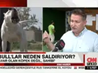 Pitbull'lar neden saldırıyor? Can Paksoy CnnTürk'e anlattı