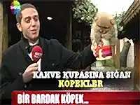 Bardak boy elit yavrular Show Anahaber'de