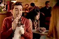 Elit Yavru kedisi Şahika Avea reklamlarında :)