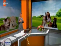 Irk ve davranış Uzmanı Can Paksoy ATV Sabah Kahvaltı haberlerine konuk oldu