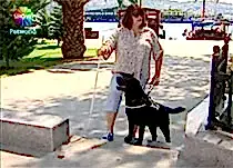 Engelli vatandaşların hayatını kolaylaştıran Rehber Köpekler