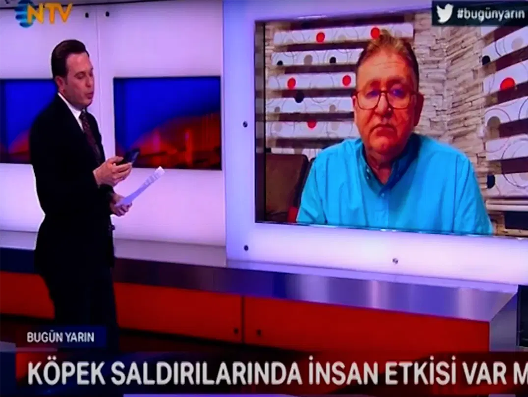NTV haber ekranlarında Irk ve Davranış Uzmanı Can Paksoy artan köpek saldırılarının sebeblerini anlattı