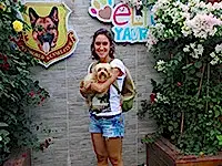 Hilal Hanım Maltipoo dostu Tarçına kavuştu