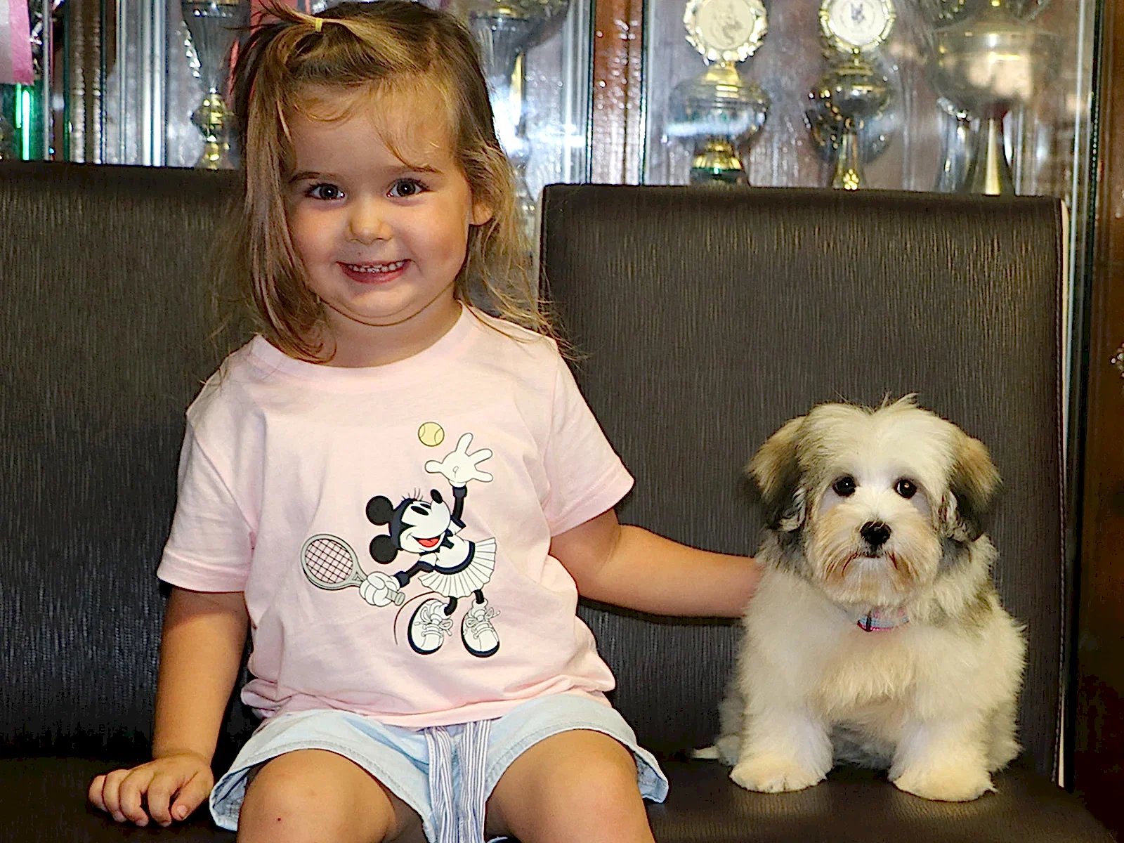 Alya'nın minik Morkie dostu