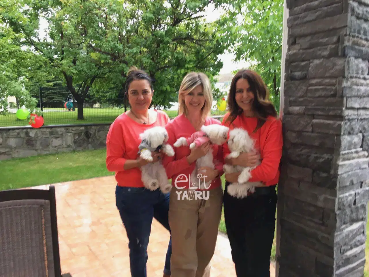 Ankara'dan ailelerimiz Maltese yavruları ile çok mutlu