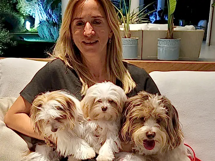 Morkie kızımız Mini İzmir'deki ailesine kavuştu