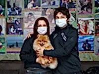 Ebru Hanım ve ailesinin çiftliğimizden sahip oldukları Romeo Temel itaat eğitimini başarlı bir şekilde tamamladı.