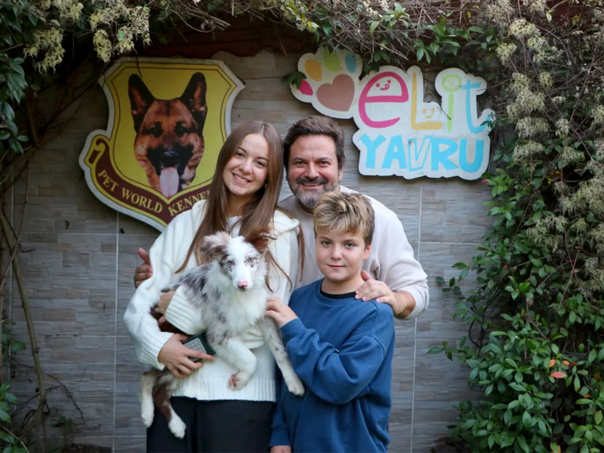 Merle Border Collie yavrumuz, Şimşek ailesinin yeni üyesi oldu