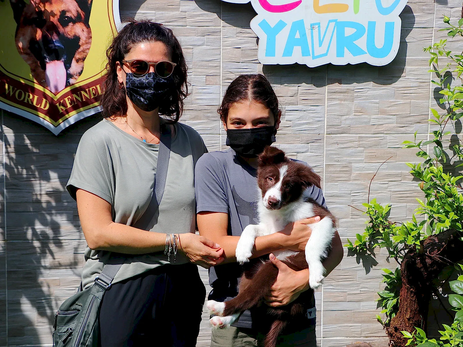 Bilgin ailesi Border Collie yavrusuna kavuştu