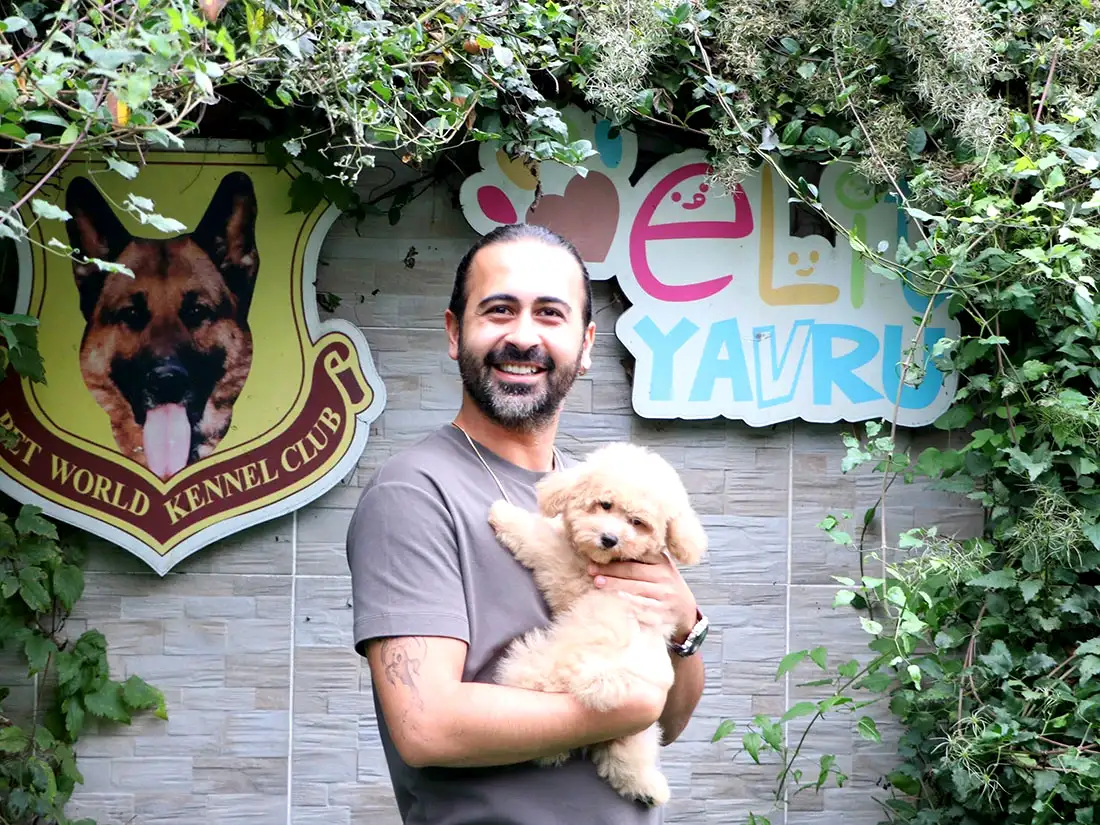 Akalın ailesi Maltipoo yavrularına kavuştular