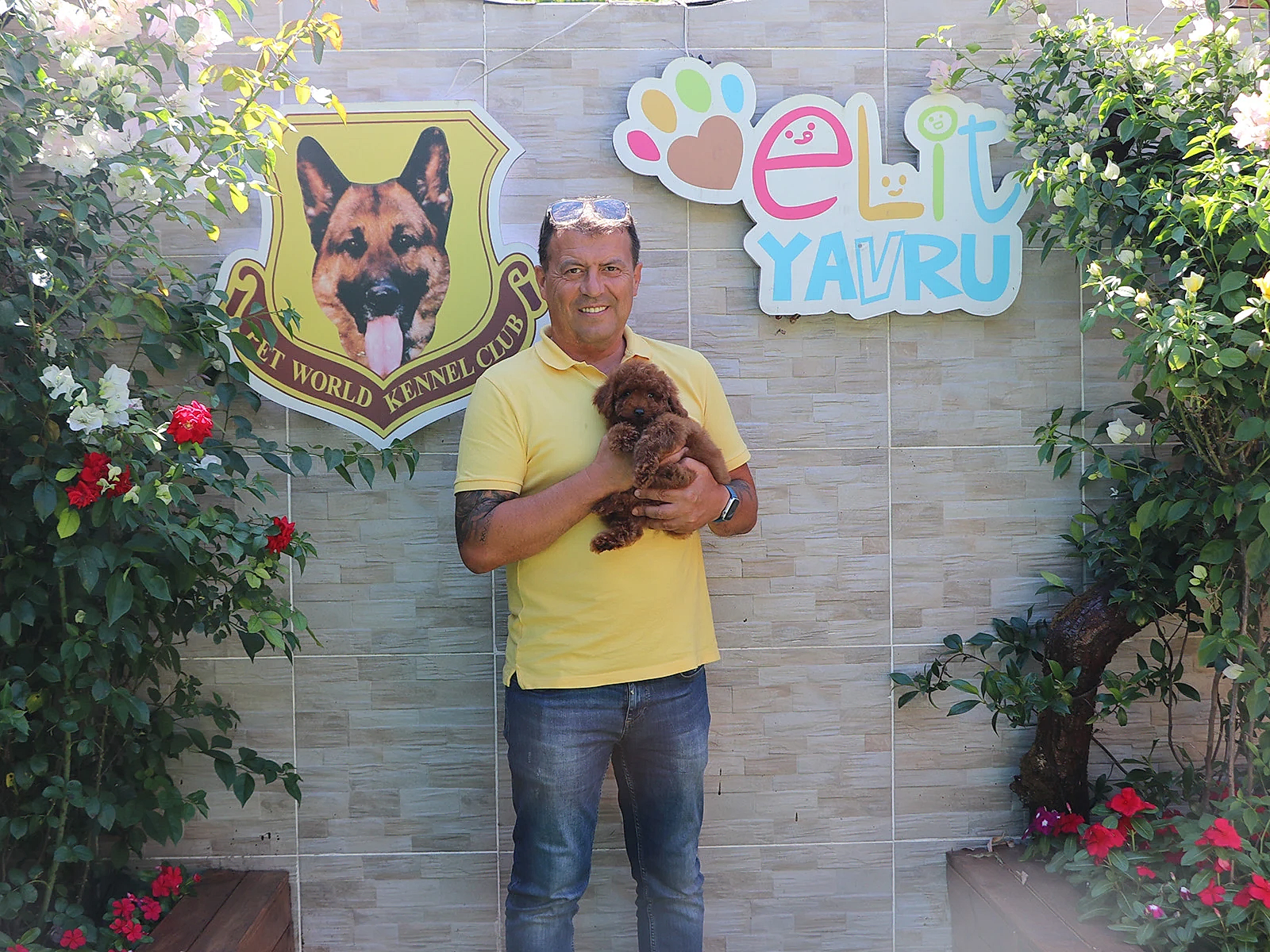 Cem Yıldıray Bey Red Brown Poodle yavrusuna kavuştu