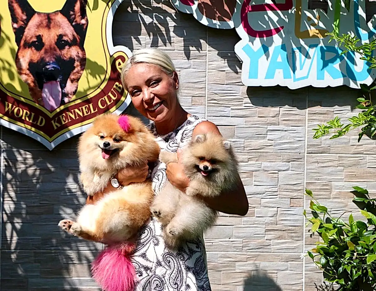 Çiğdem Hanım Pomeranian yavrusuna kavuştu