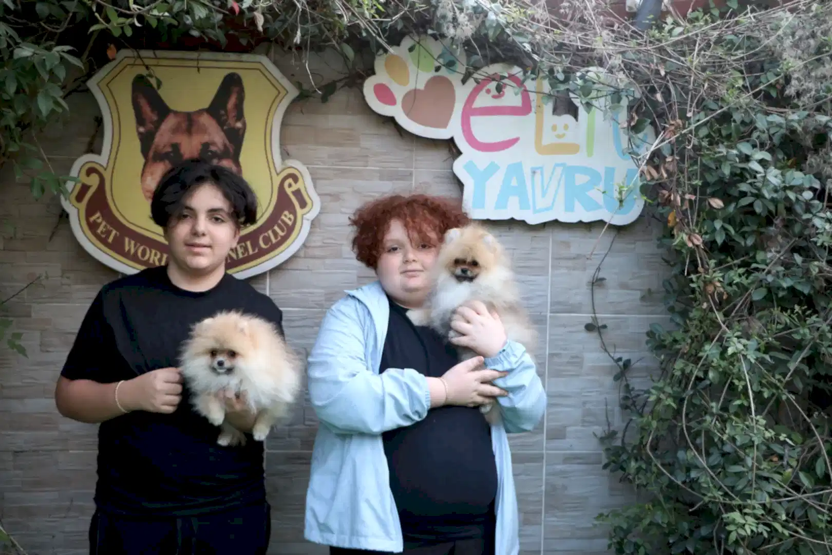 Ankara'dan Ulusoy ailesi Pomeranian yavrularına kavuştular