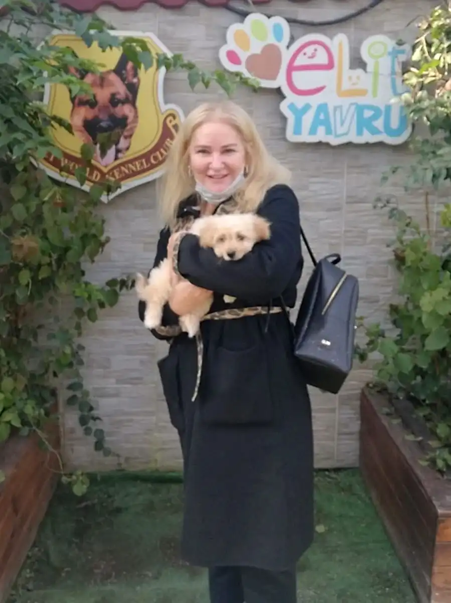 Dalya Hanım Maltipoo yavrusuna kavuştu