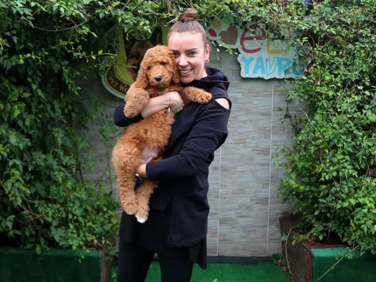 Didem Hanım Labradoodle oğluna kavuştu