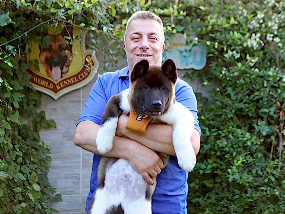 Sevgili Ercüment Bey Şans'a kavuştu