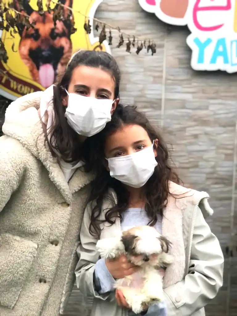 Erdal Bey ve Ailesi Morkie yavrularına kavuştular