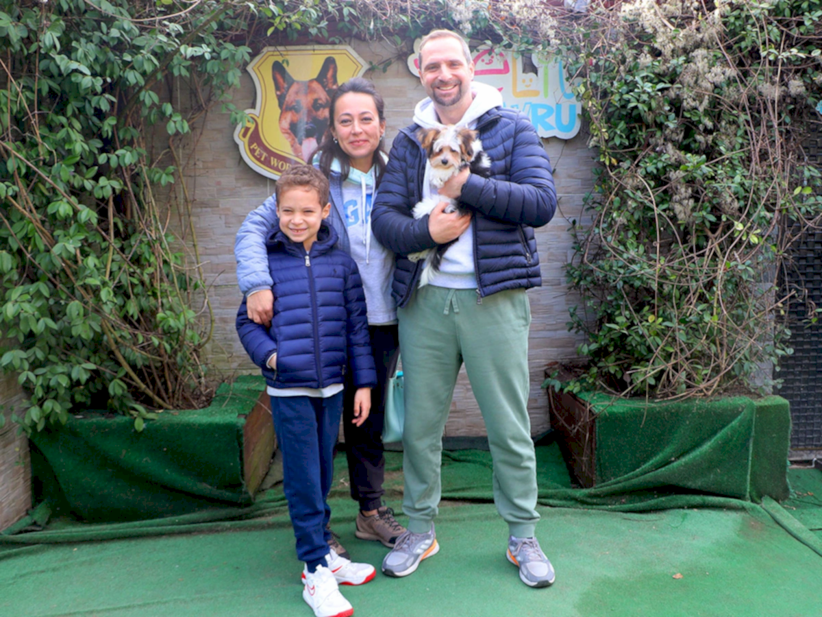 Sevgili Erdem Bey ve ailesi Morkie yavrularına kavuştular
