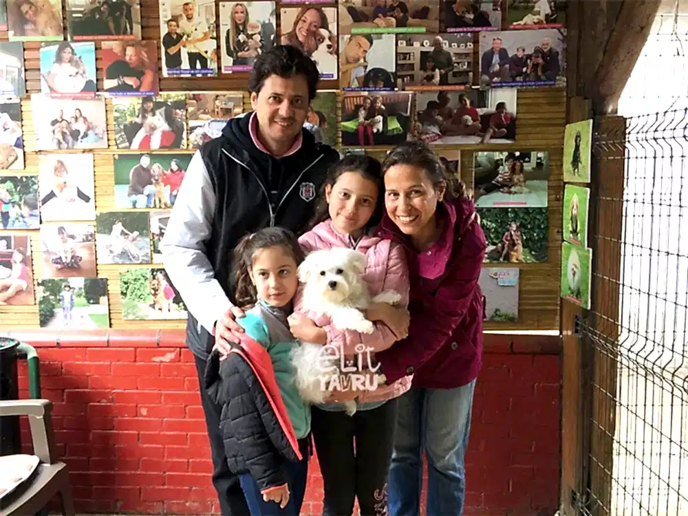 Erdoğan Ailesi, Maltese Terrier elit yavrusuna kavuştu