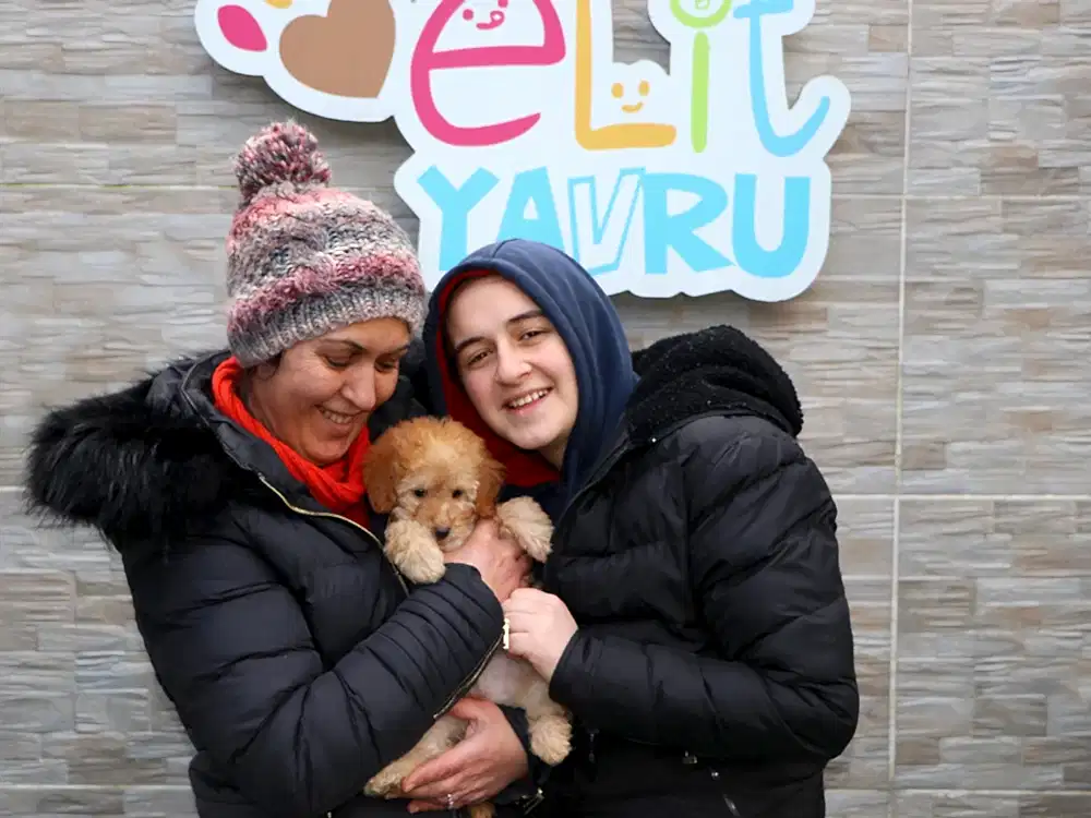 Erem Ailesi, Poodle elit yavrularına kavuştu