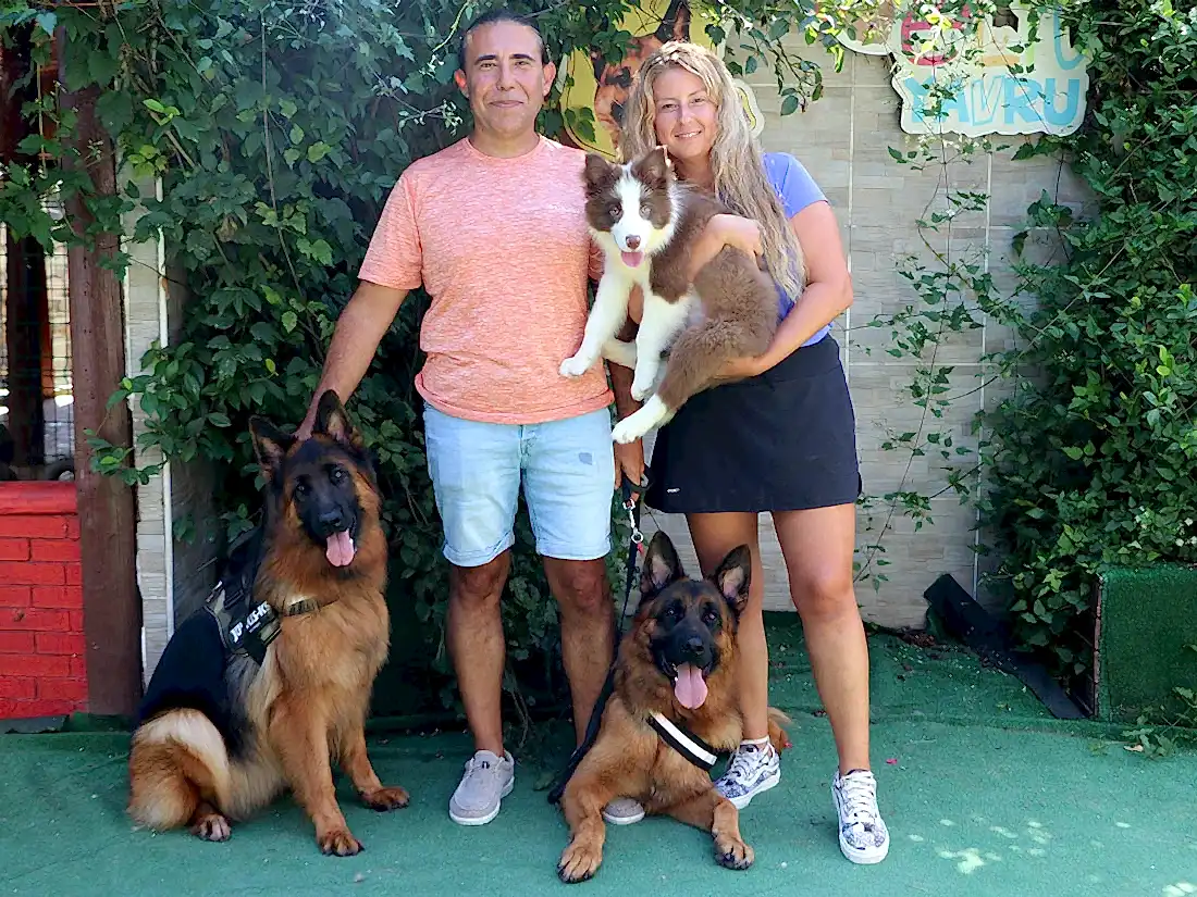 Esentürk Ailesi Border Collie bebeklerine kavuştu