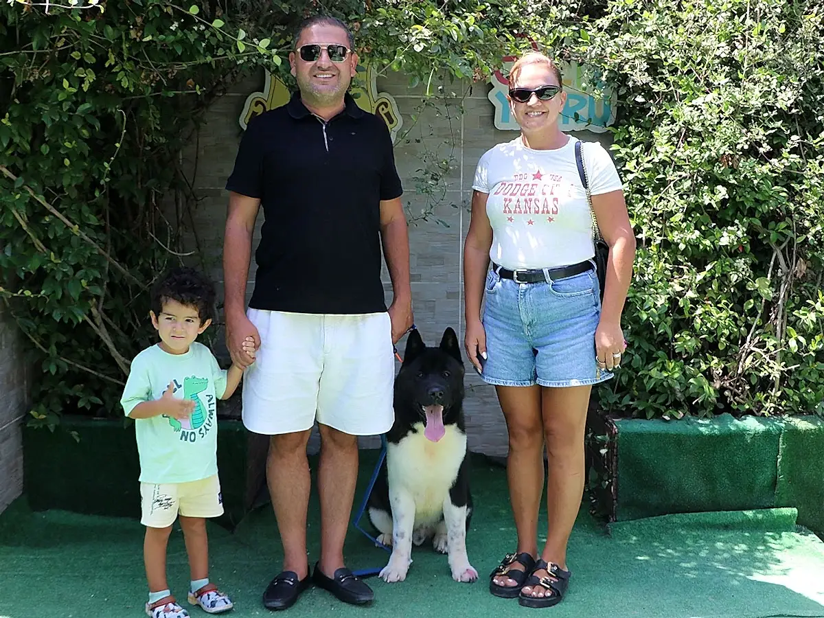 Sevgili Batuhan Bey ve ailesi American Akita yavrularına kavuştular