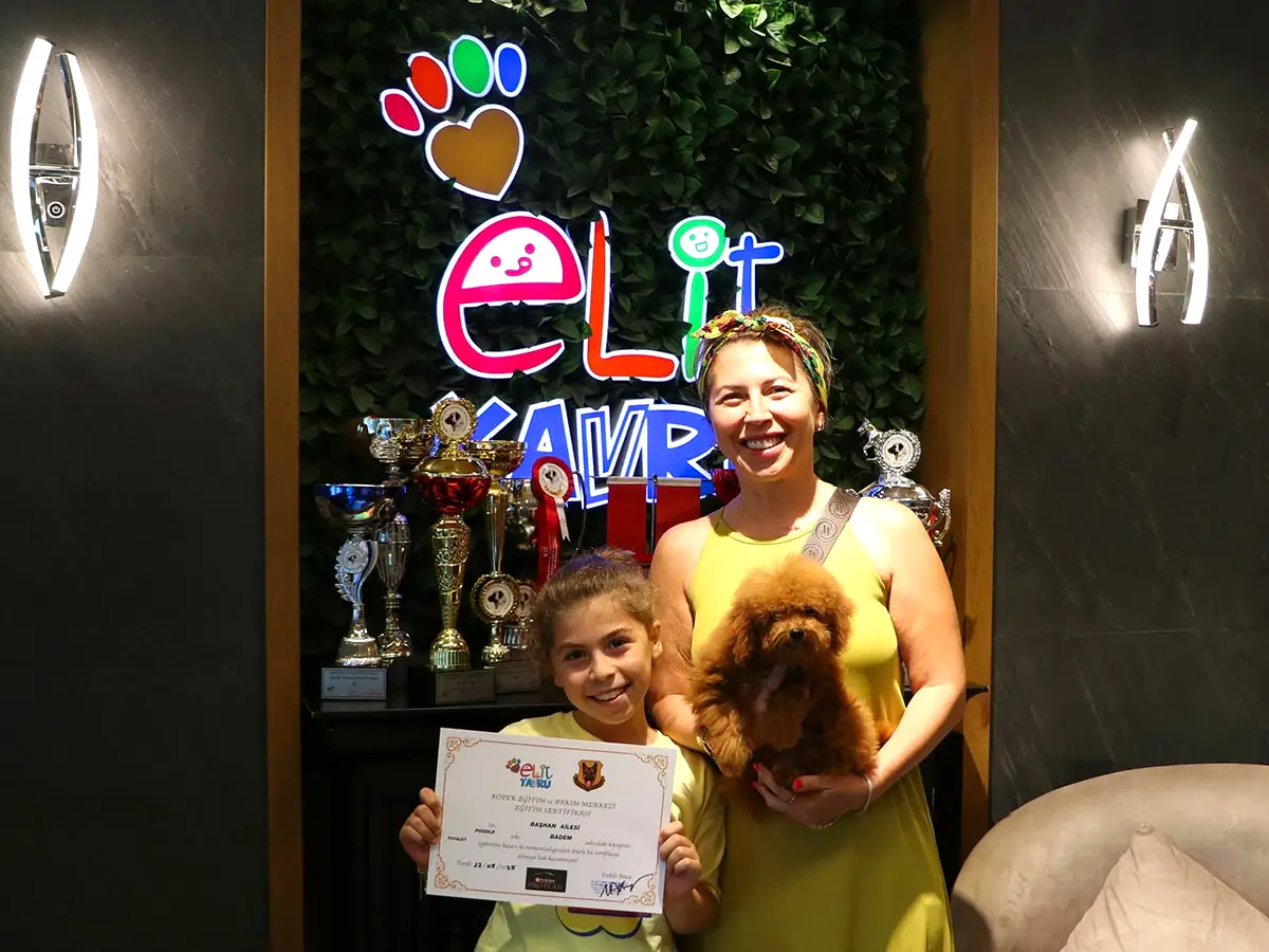 Sevgili Ferda Hanım ve ailesi Poodle yavrularına kavuştular