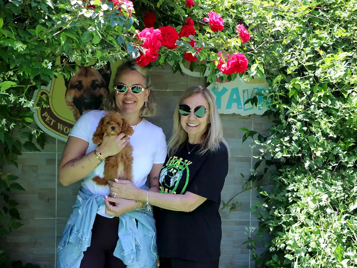 Gizem Hanım ve ailesi Teacup Maltipoo yavrularına kavuştular