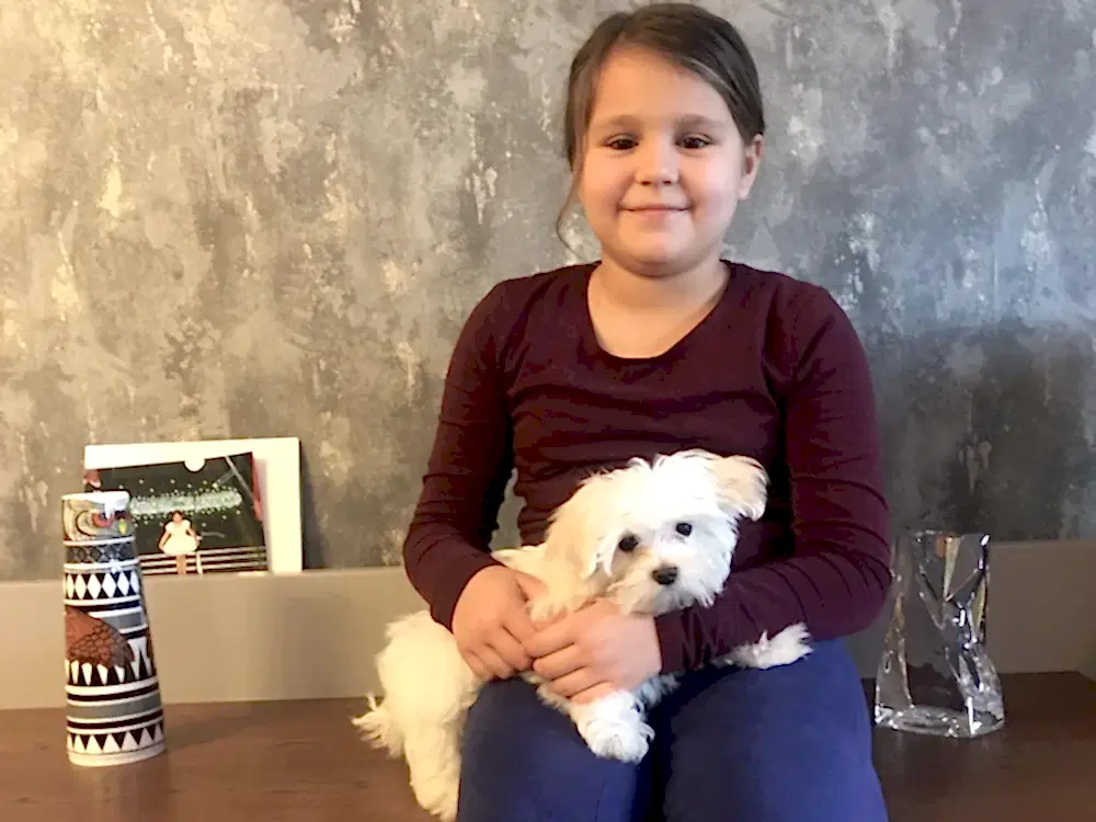 Gülsu Ailesi, eğitim sonrası Maltese Oscar'a kavuştu