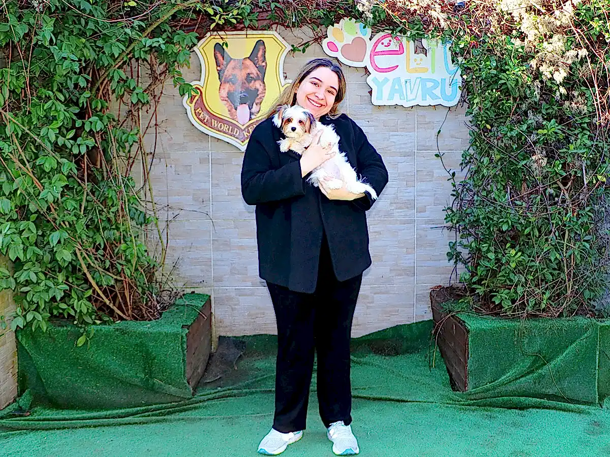 Selva Hanım ve ailesi Morkie yavrularına kavuştular