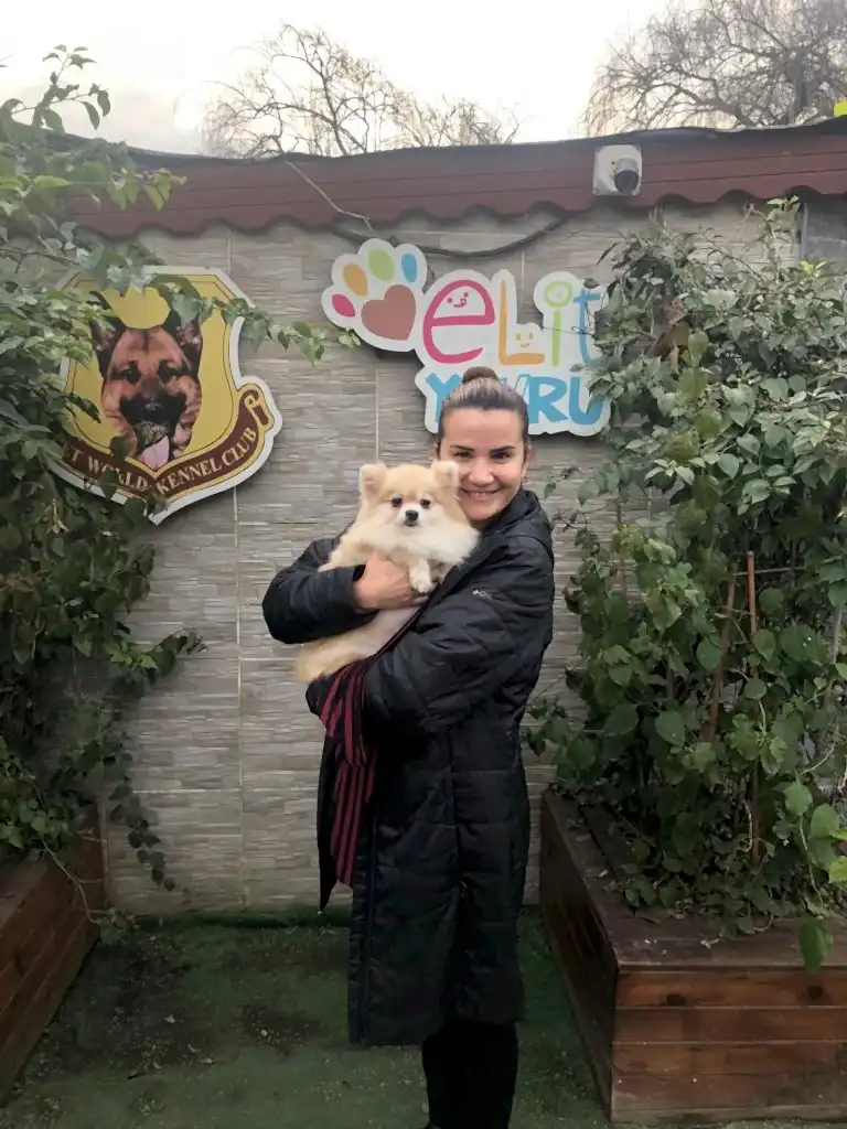 Hande Hanım Pomeranian kızına kavuştu