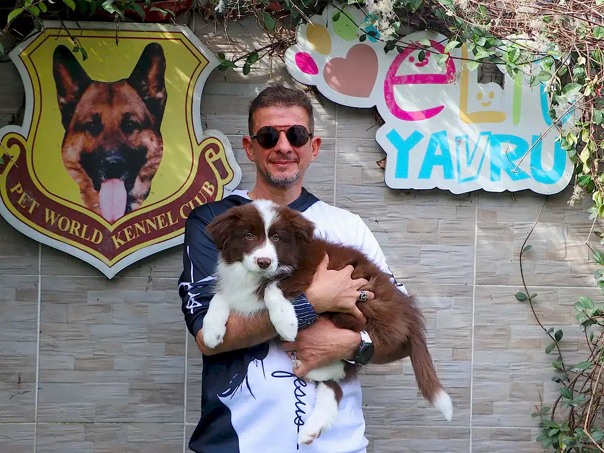 Antalya'dan Hasan Bey ve ailesi Border Collie yavrularına kavuştular