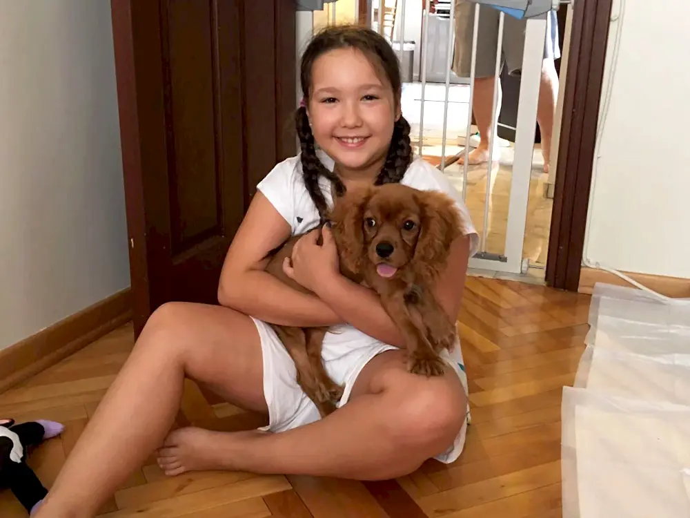 Hurmoğlu Ailesi, Ruby Cavalier elit yavrusuna kavuştu