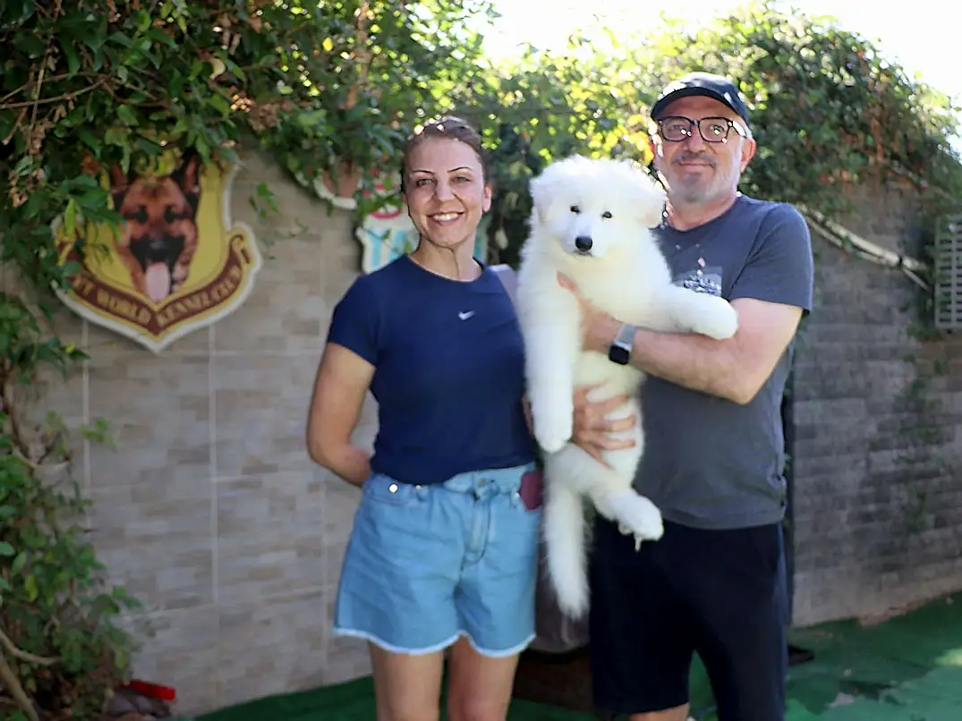 İbrahim Bey Beyaz Alman Çoban Köpeği yavrusuna kavuştu