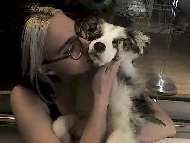 İç Mimar Selin Hanım'ın Border Collie yavrusu