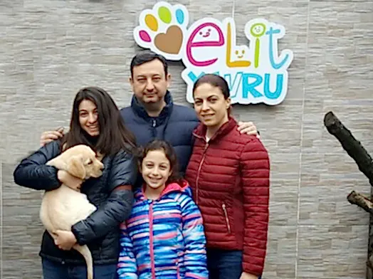 İzmir'den Serkan Bey, Labrador Retriever sahibi oldu
