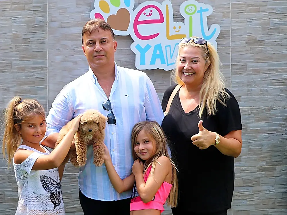 Kalkavan Ailesi, Poodle yavrularına kavuştu