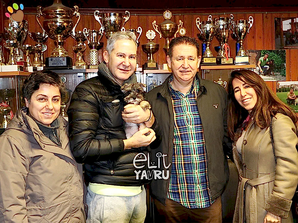 Karin Tabaryan, Schnauzer elit yavrusuna kavuştu