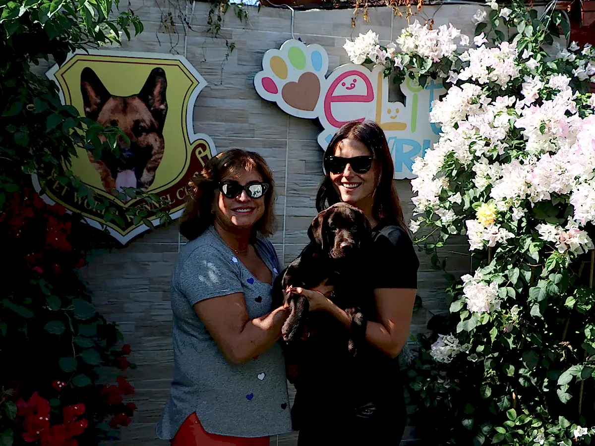 Kosif ailesi Rehber Chocalate Labrador Yavrusuna kavuştu