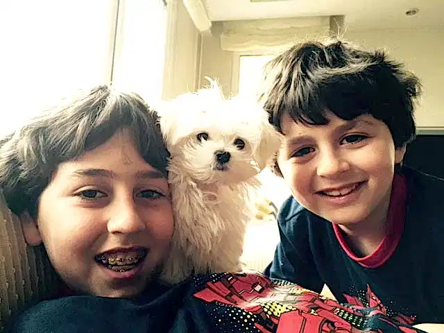 Maltese yavrumuz Miço yeni yuvasında