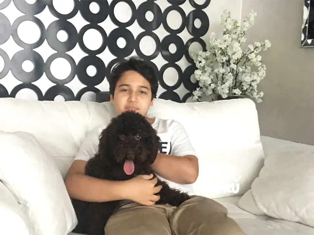 Mehmet Can Yangın'ın Minyatür Poodle'ı Marcus