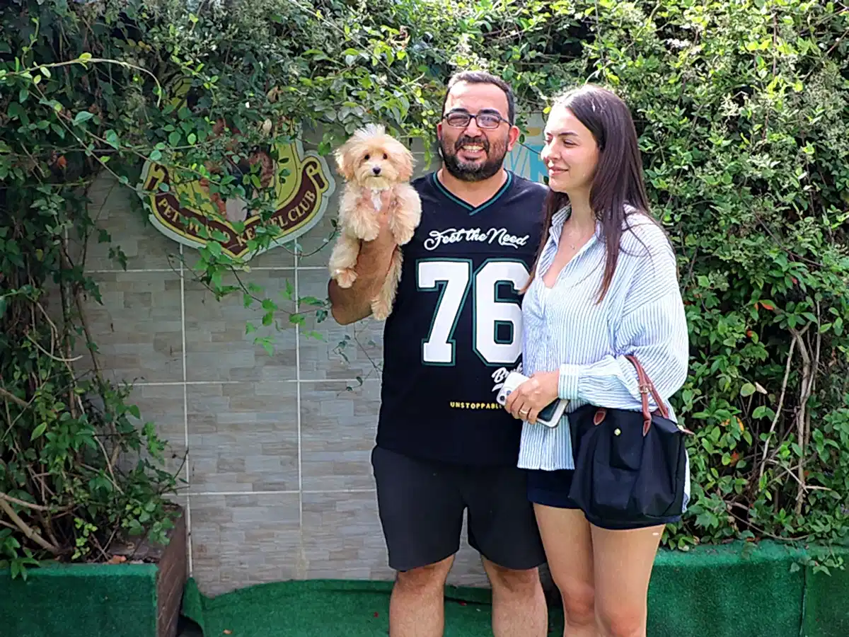 Mehmet Bey ve ailesi Maltipoo yavrularına kavuştular