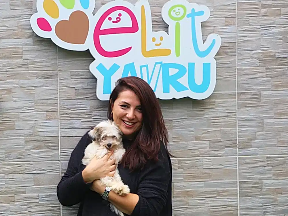 Modacı Gamze Saraçoğlu ve Morkie elit yavrusu