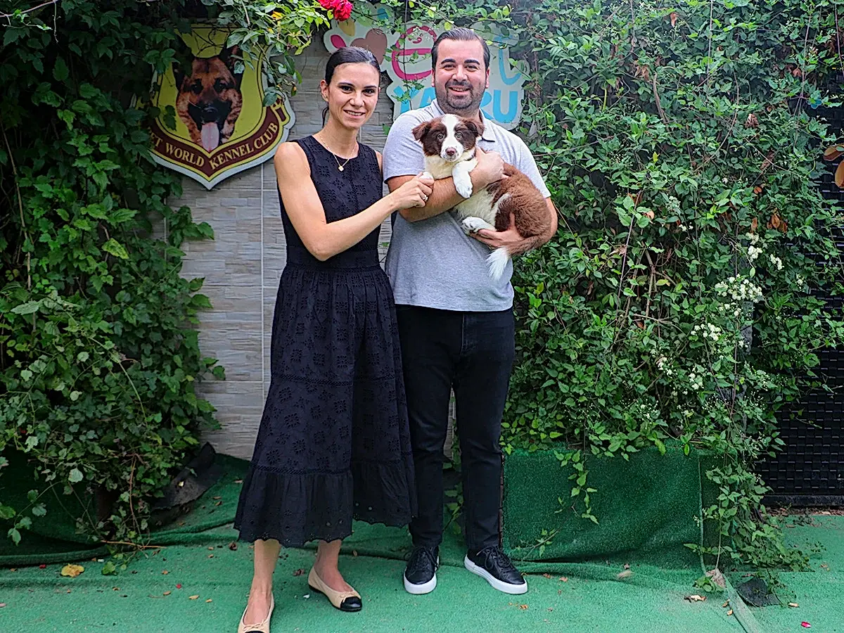 Murat Bey ve ailesi Border Collie yavrularına kavuştular