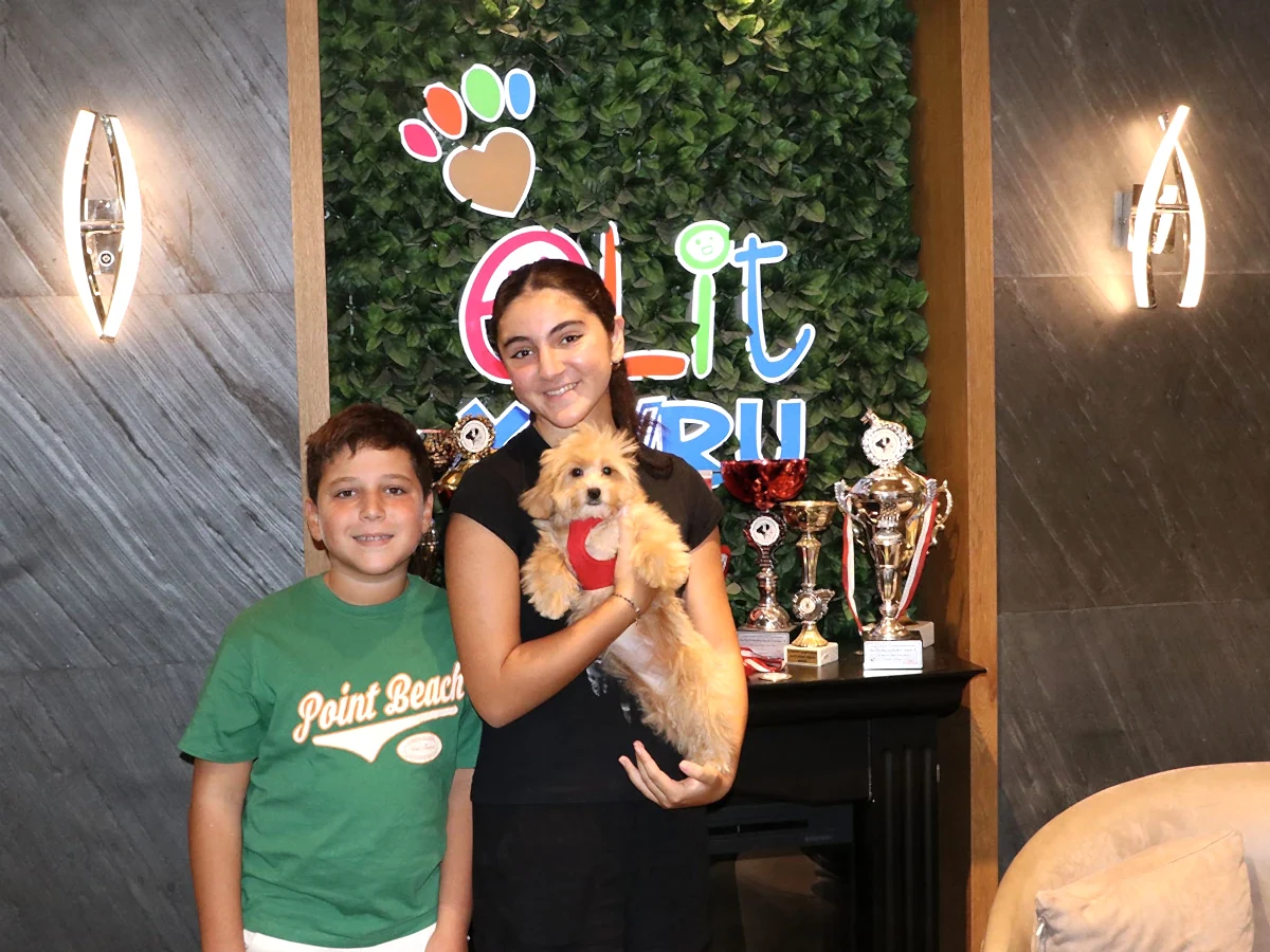 Mutlu Hanım ve ailesi Maltipoo yavrularına kavuştular